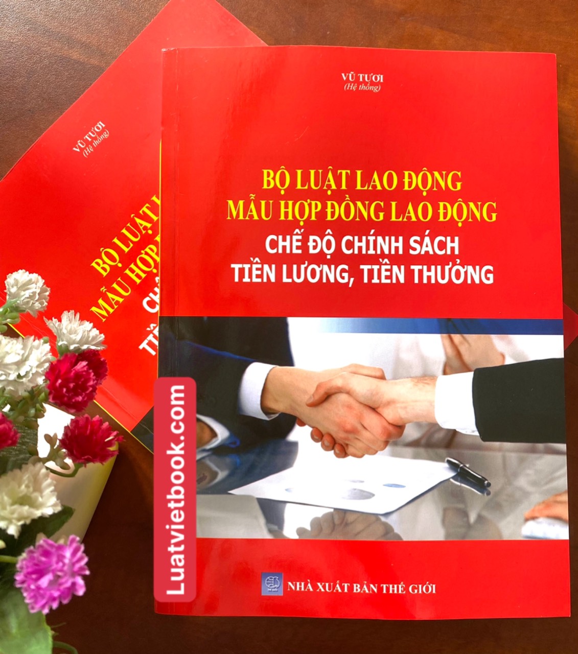 Bộ Luật Lao Động - Mẫu Hợp Đồng Lao Động - Chế Độ Chính Sách Tiền Lương, Tiền Thưởng