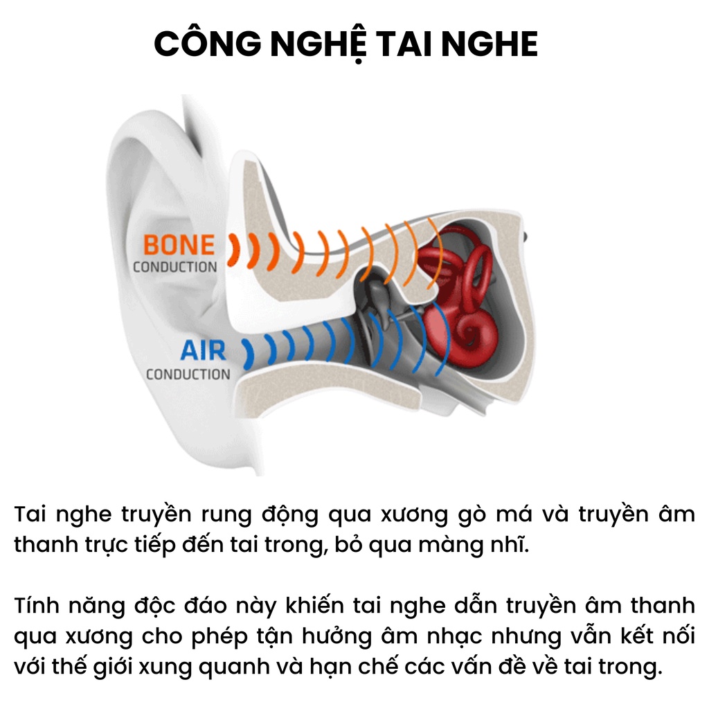 Tai Nghe Thể Thao Bơi Lội SHOKZ OPENSWIM Màu Đen - Truyền âm thanh qua xương Chống nước IP68 - Dung lượng lưu trữ 4GB cho 1200 bài hát - Hàng Chính Hãng