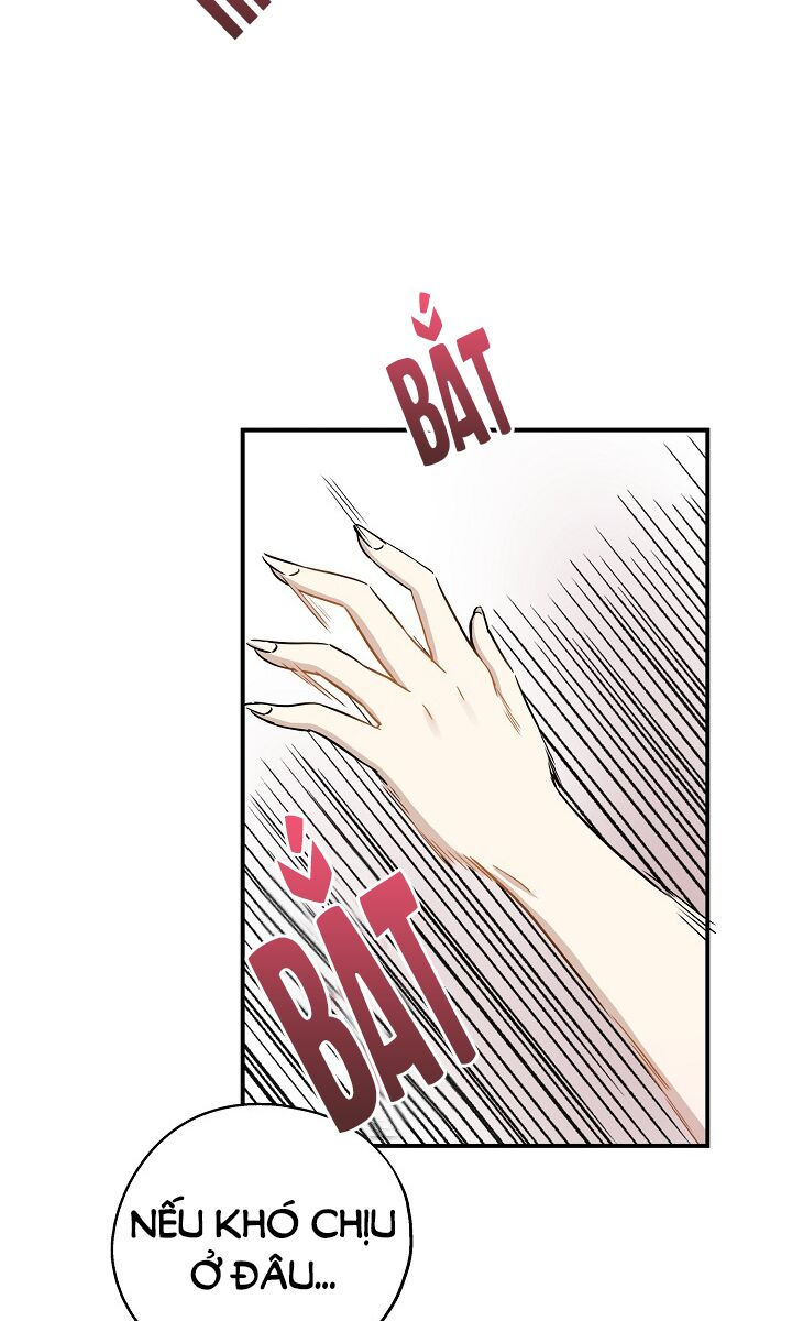cuộc sống kỳ thú chapter 28 52