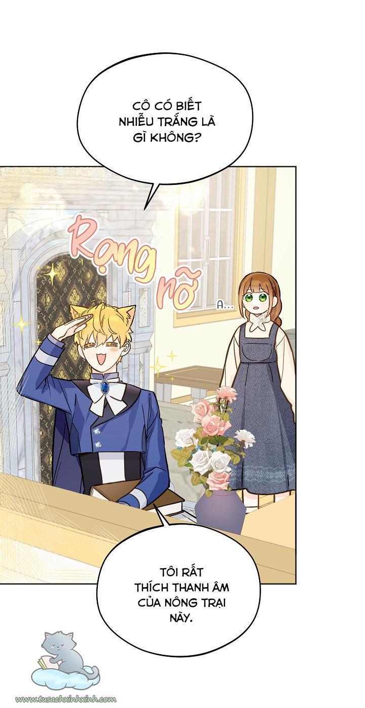 trang trại hạt dẻ cạnh hoàng cung chapter 22 21