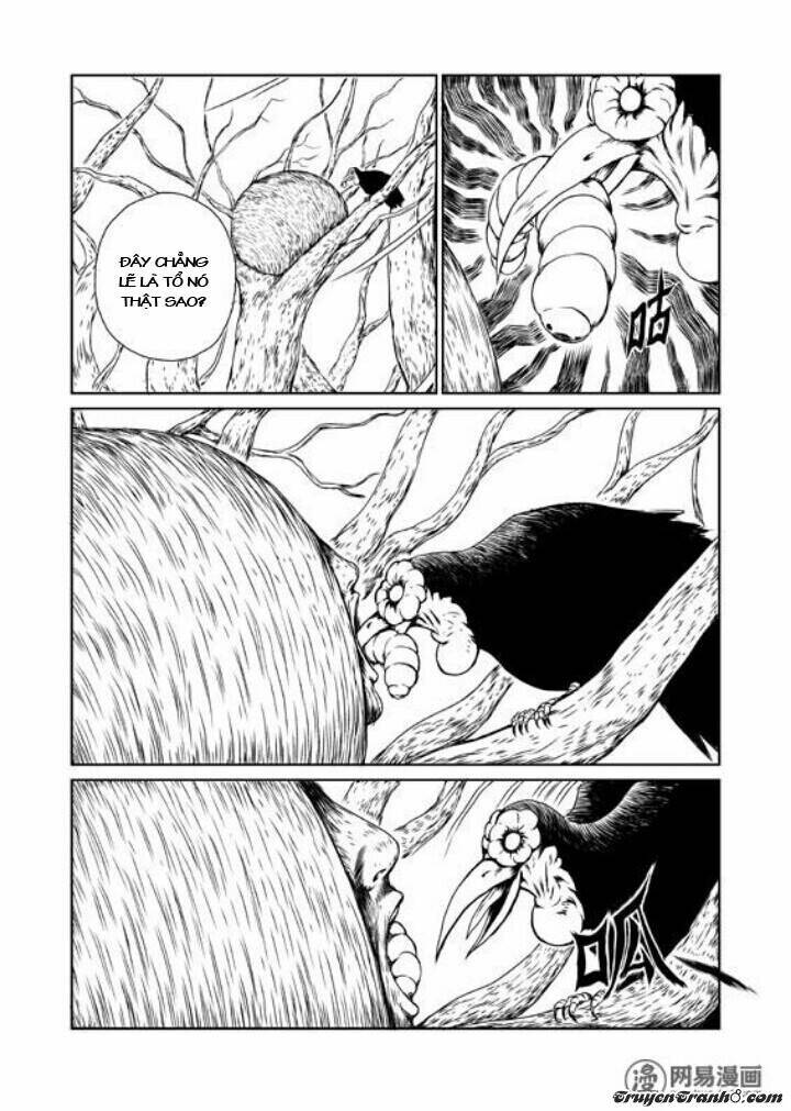 tổ chim chapter 1 6
