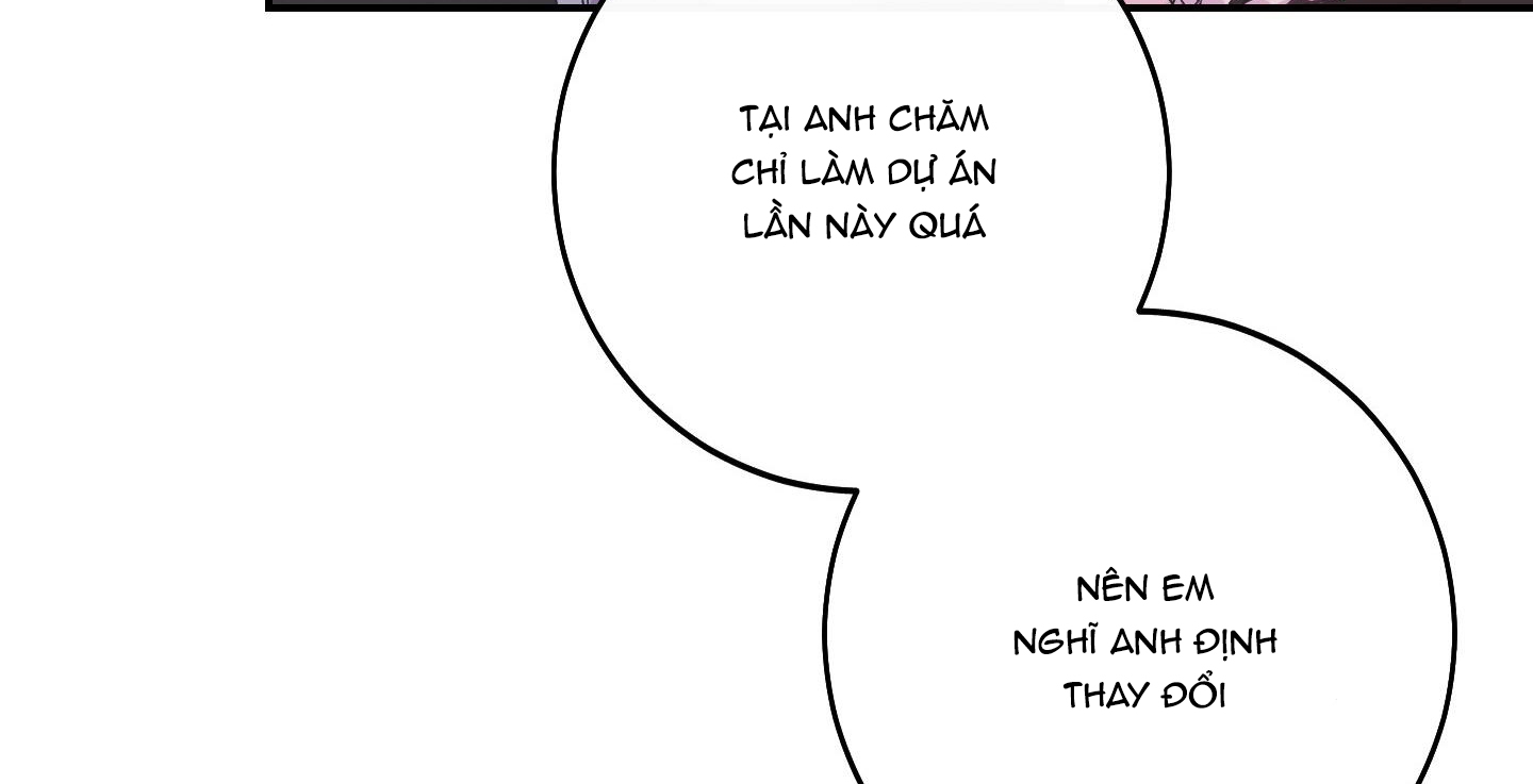 lãng mạn giả dối chapter 10 251