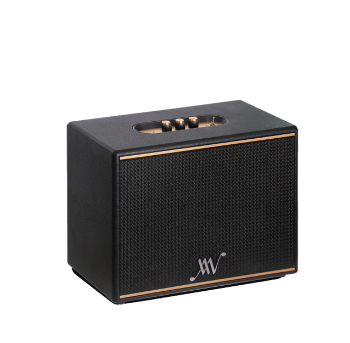 Loa Bluetooth Alpha Works Classic V100 - Công Suất 100W - Hàng Chính Hãng