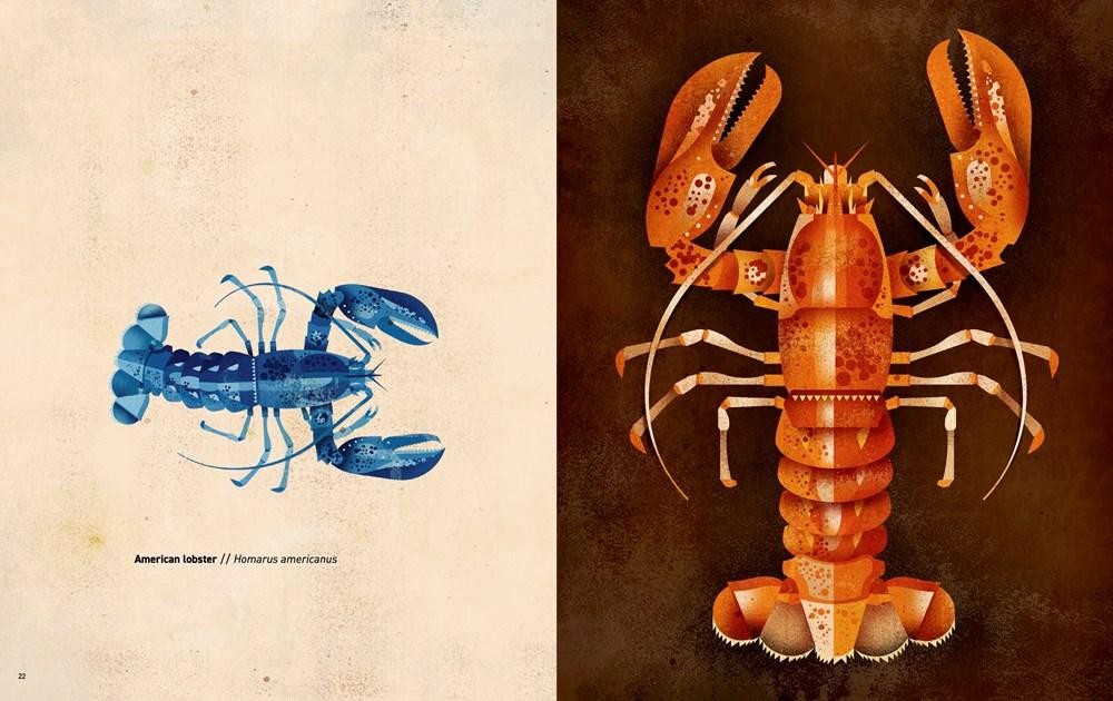 Sách - Wild Animals of the World by Dieter Br.aun