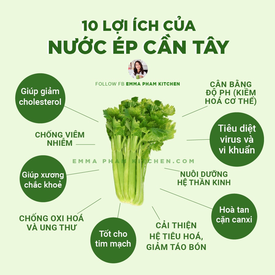 Hạt Giống Cần Tây Bẹ To Ép Nước Mỹ 300 Hạt