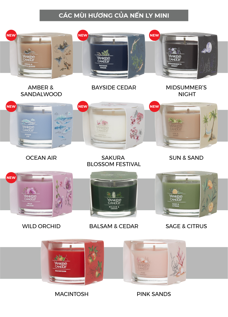Nến ly mini Yankee Candle (37g) - Bayside Cedar