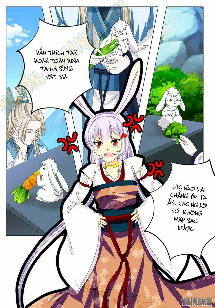 đống phù đã khai quang chapter 55 5