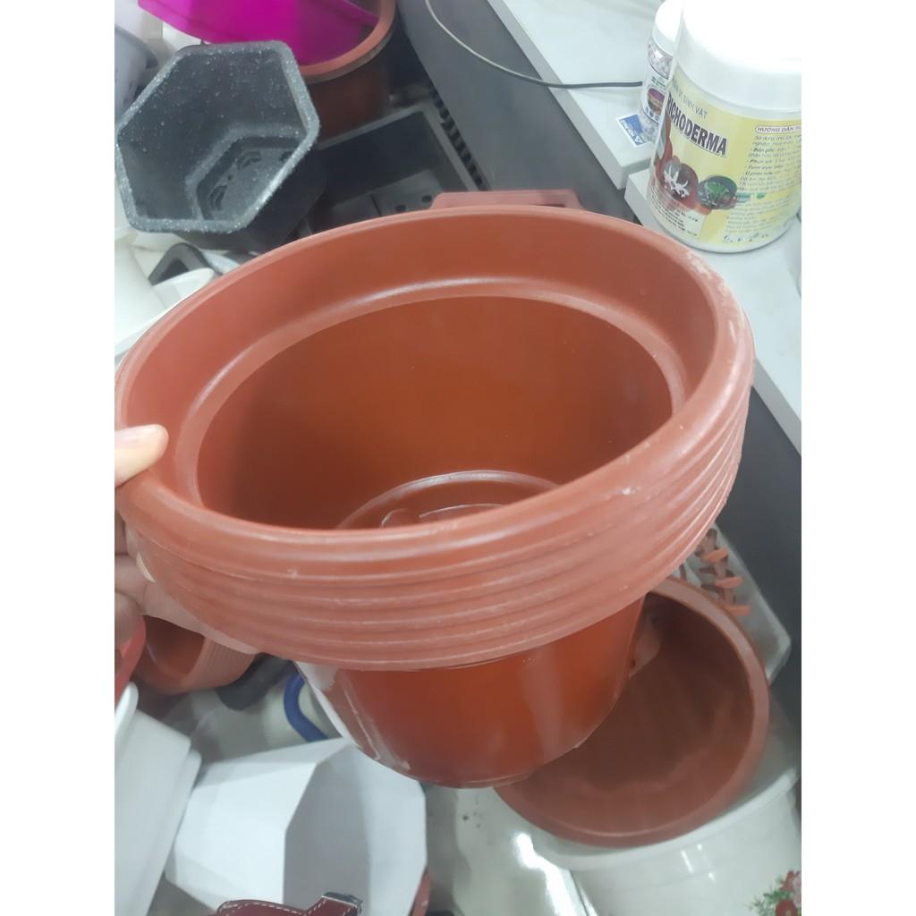 Chậu nhựa trồng cây hoa rộng 24cm x16cm E2800