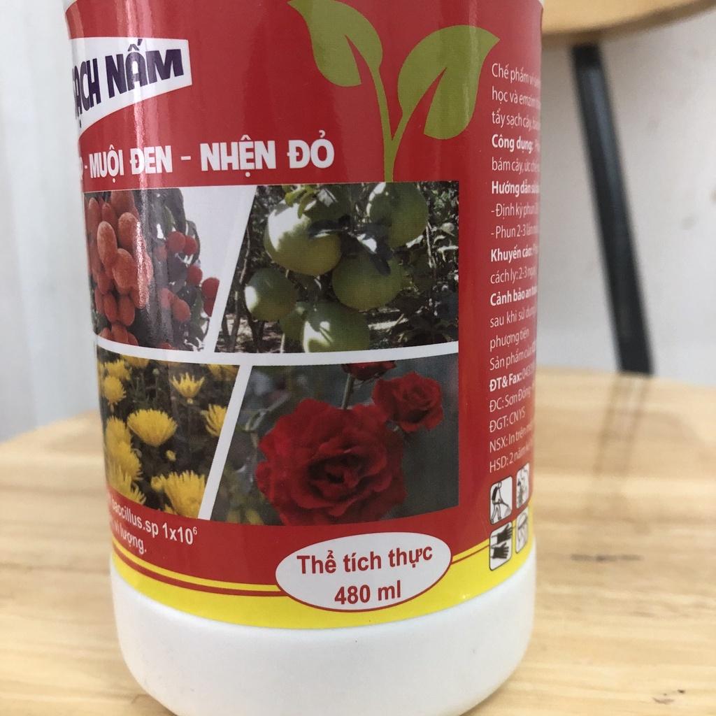 Chế phẩm rửa rong rêu, nấm mốc, muội đen, nấm hồng, rệp sáp trên cây trồng 480ml