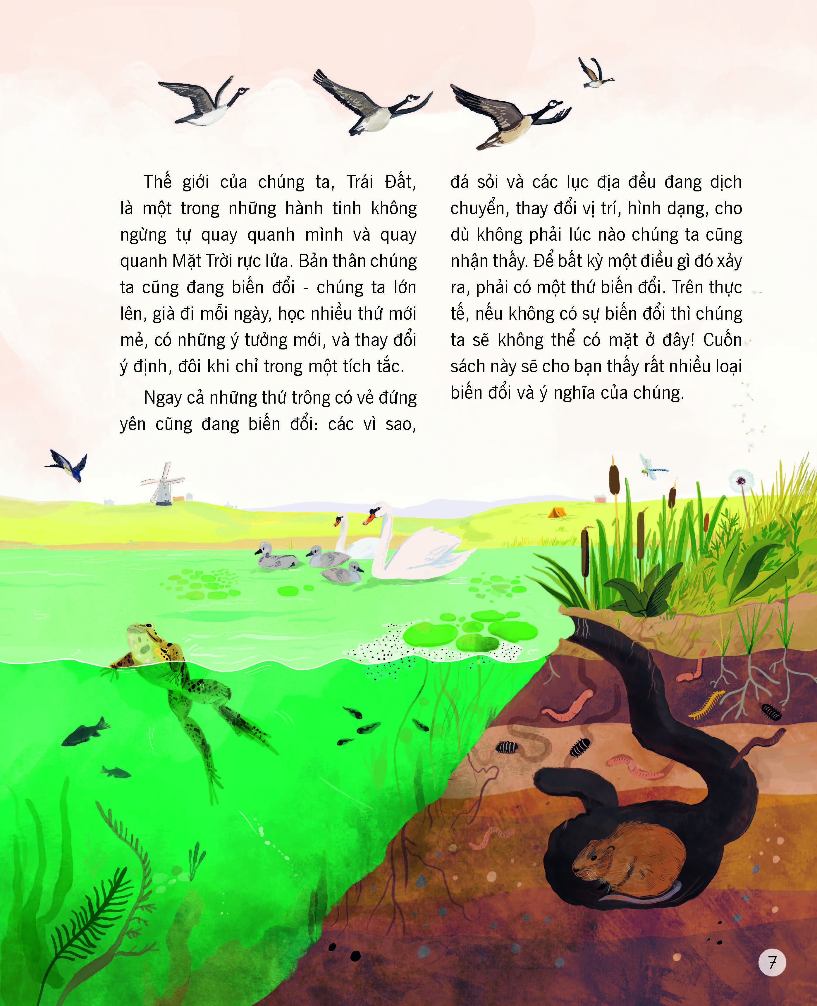 Sách - Vạn vật biến đổi - Đinh Tị Books