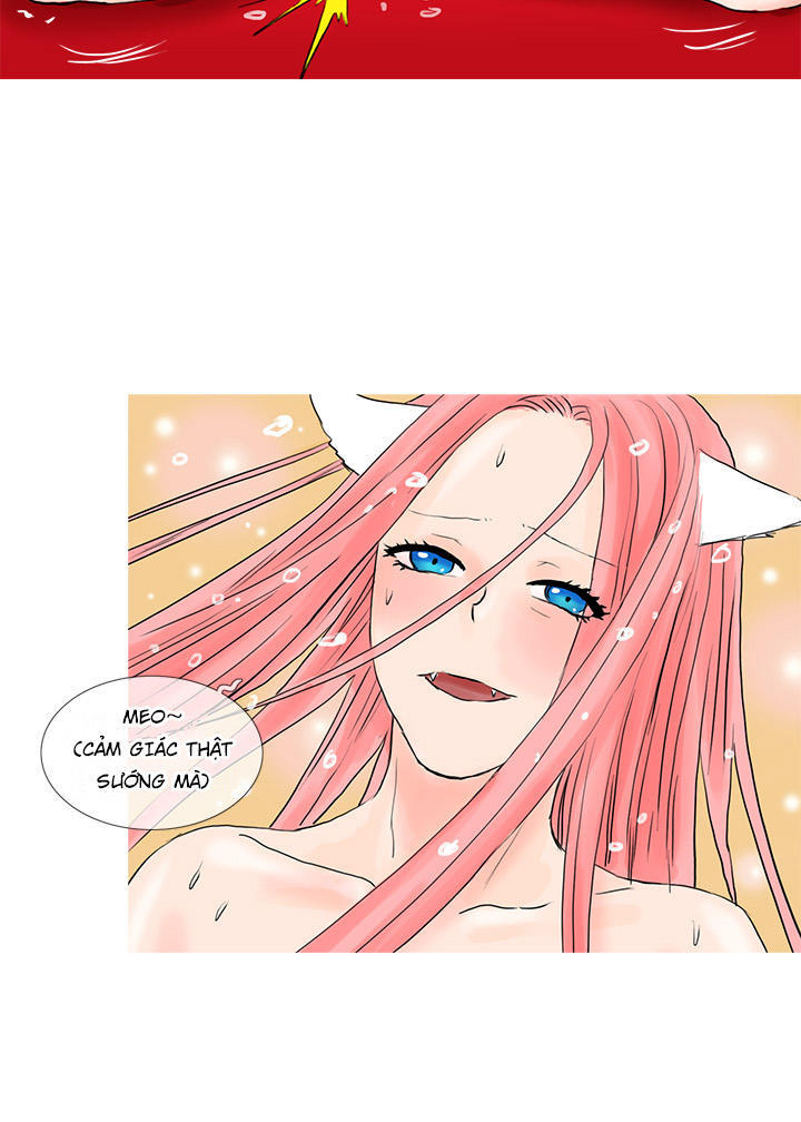 wildcat chapter 4 18