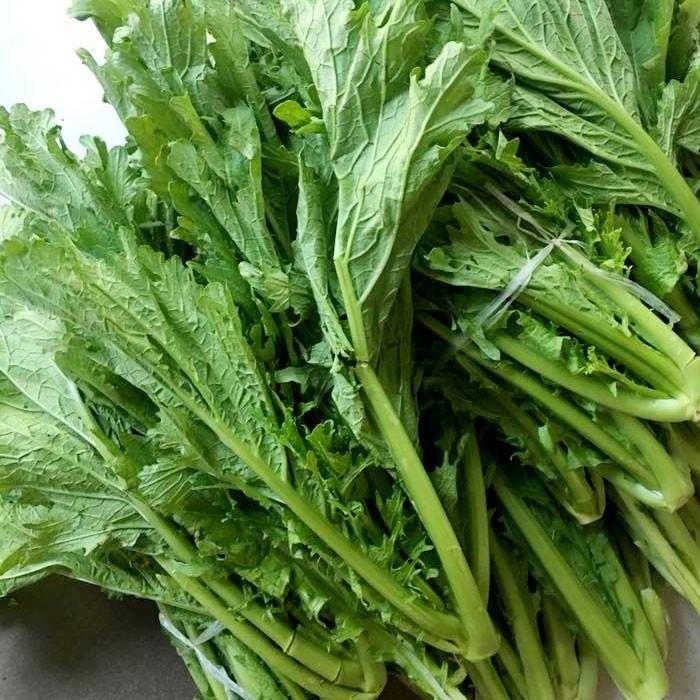 Hạt giống rau cải mèo cao sản KNS3383 - 1 gói 10gram