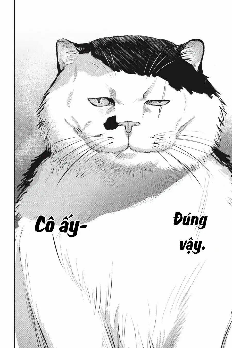 nyankees chapter 7 18