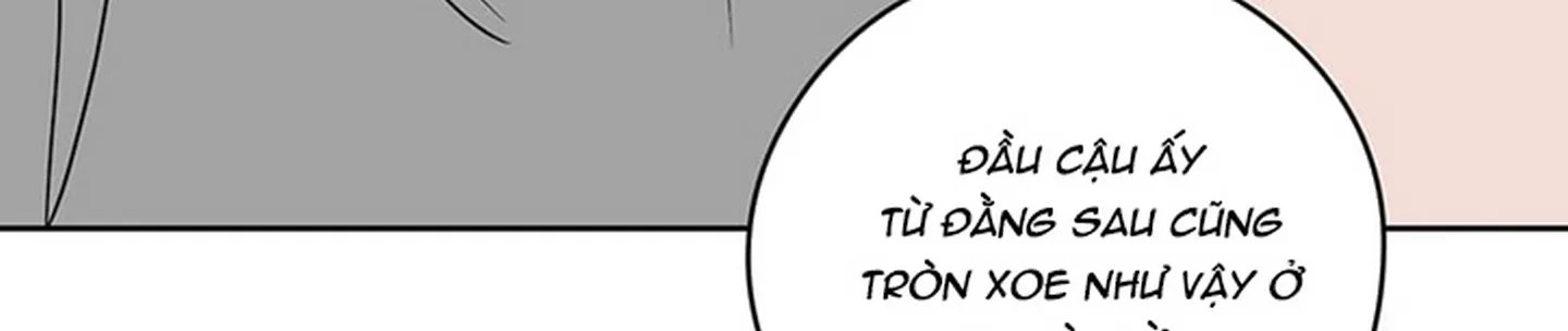 chuyện quái gì với giấc mơ đó vậy chapter 19 570