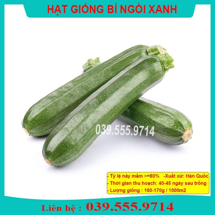 Hạt giống bí ngồi xanh 10 hạt quả to đẹp