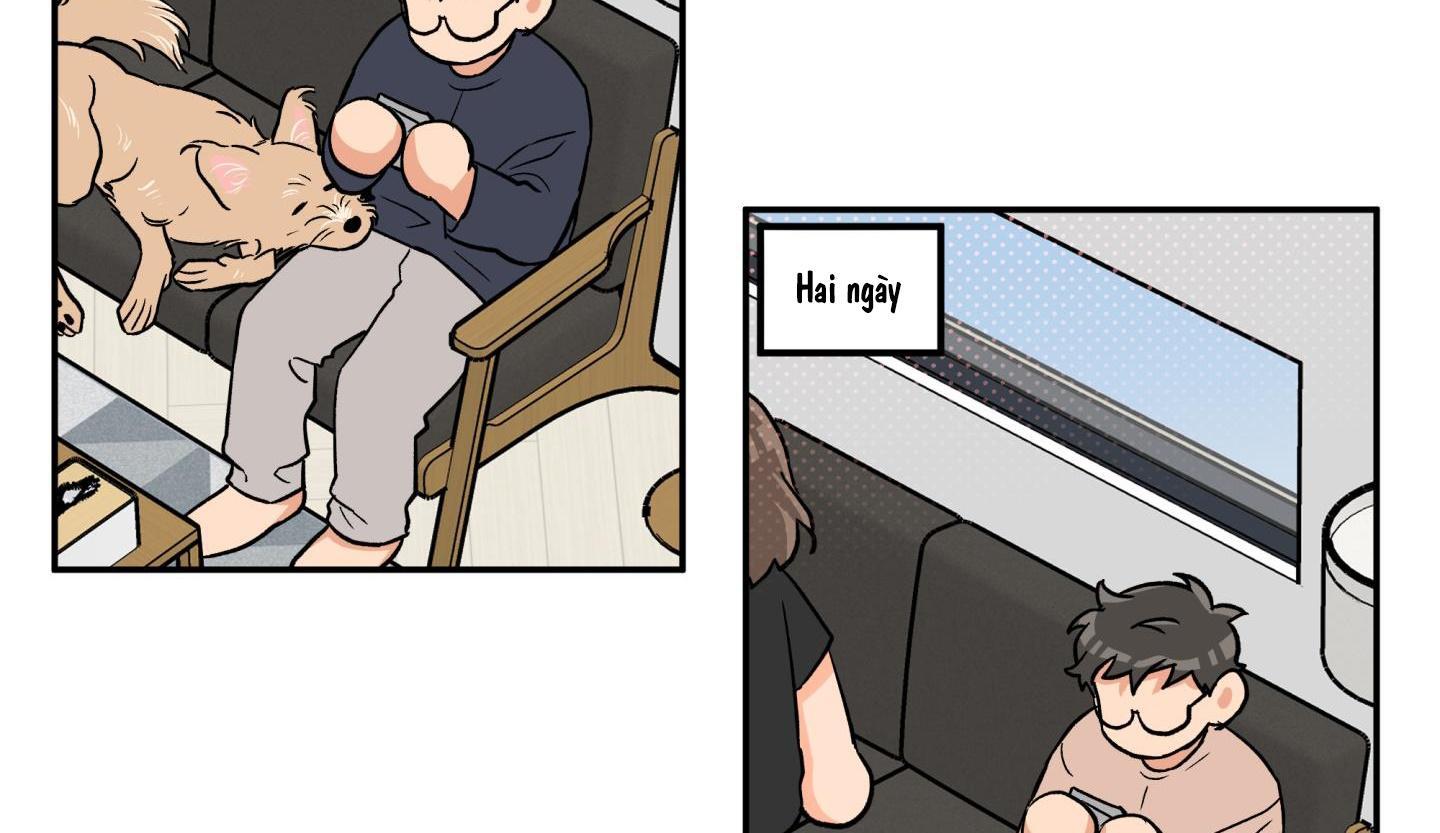 gâu gâu! chapter 50 60