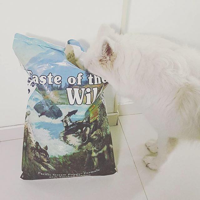 Thức Ăn Cho Chó Samoyed Taste Of The Wild Bao 500g - Thức Ăn Cho Chó Vị Cá Hồi Xông Khói, Rau Củ Quả