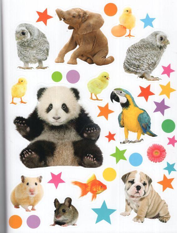 Sách ngoại văn: Baby Animals Sticker Activities