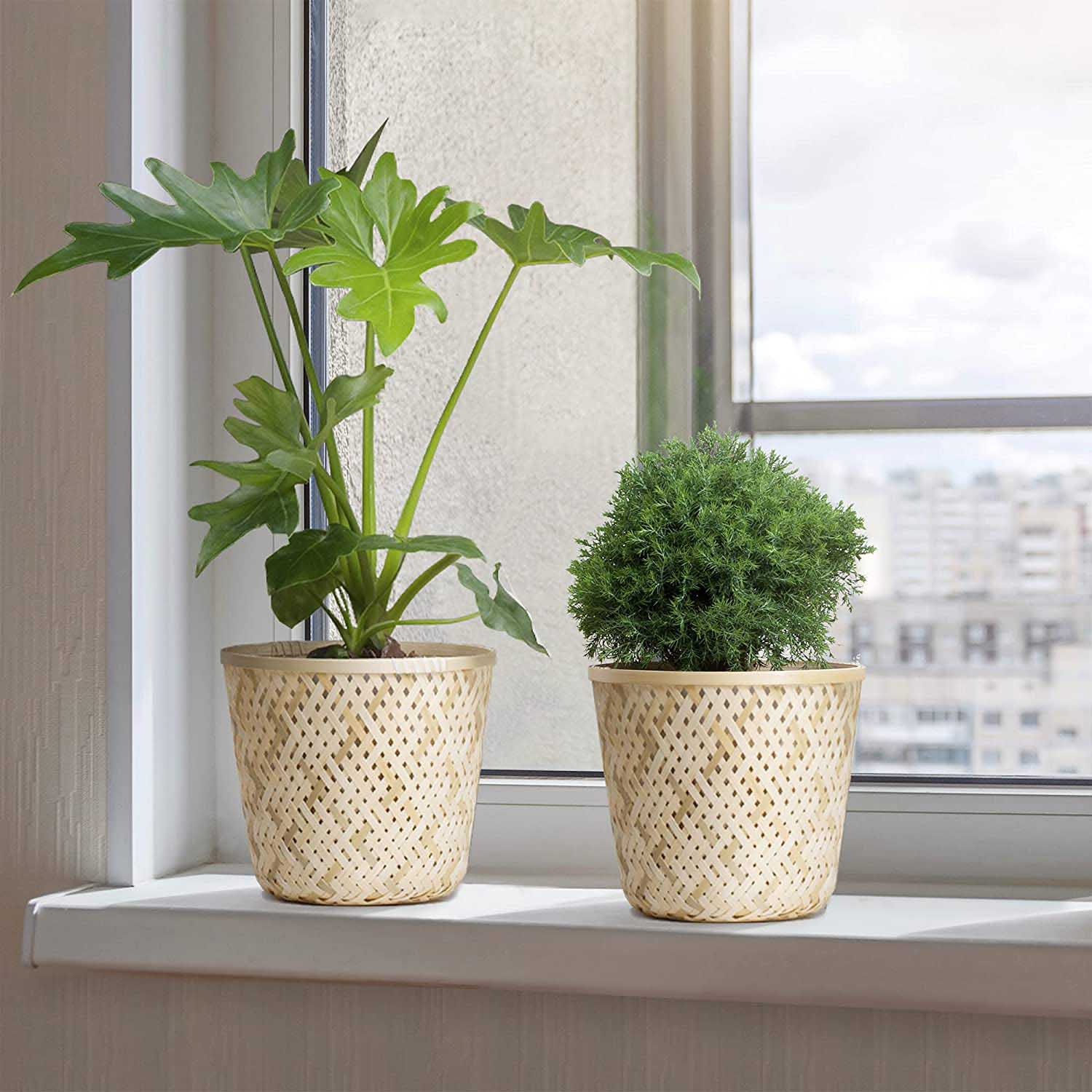 Sọt tre trắng l Sọt để vật dụng l Sọt trồng cây