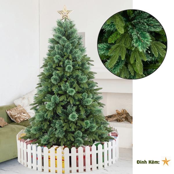 Cây Thông PE 3 Loại Lá Cước Nở Hoa 150 cm - Cây Tự Động - Chaang Chiia LP-SPA-5