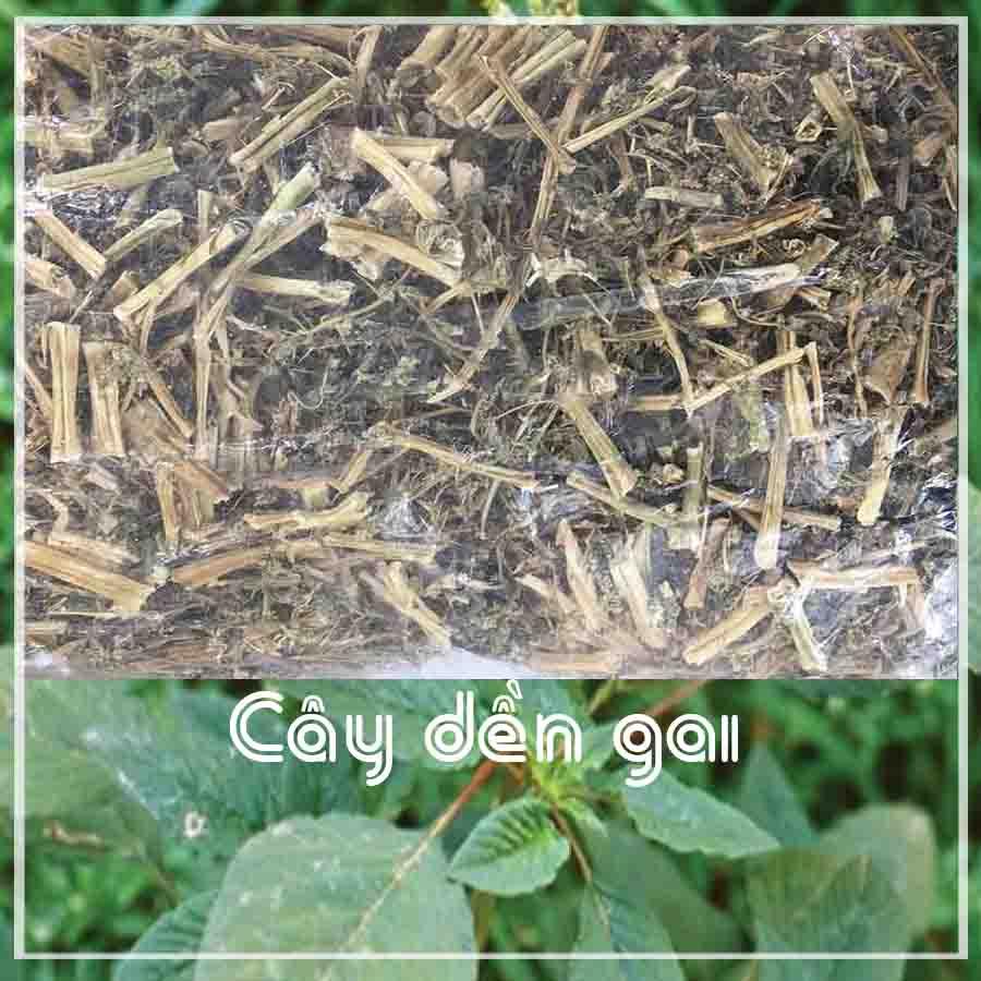 Cây Dền Gai khô sạch đóng gói 500gram