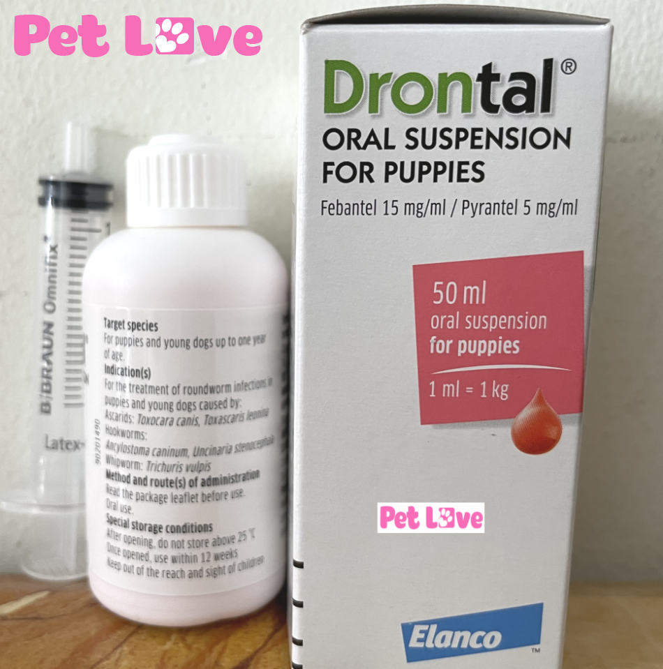 Xổ giun Drontal dạng nước cho chó con
