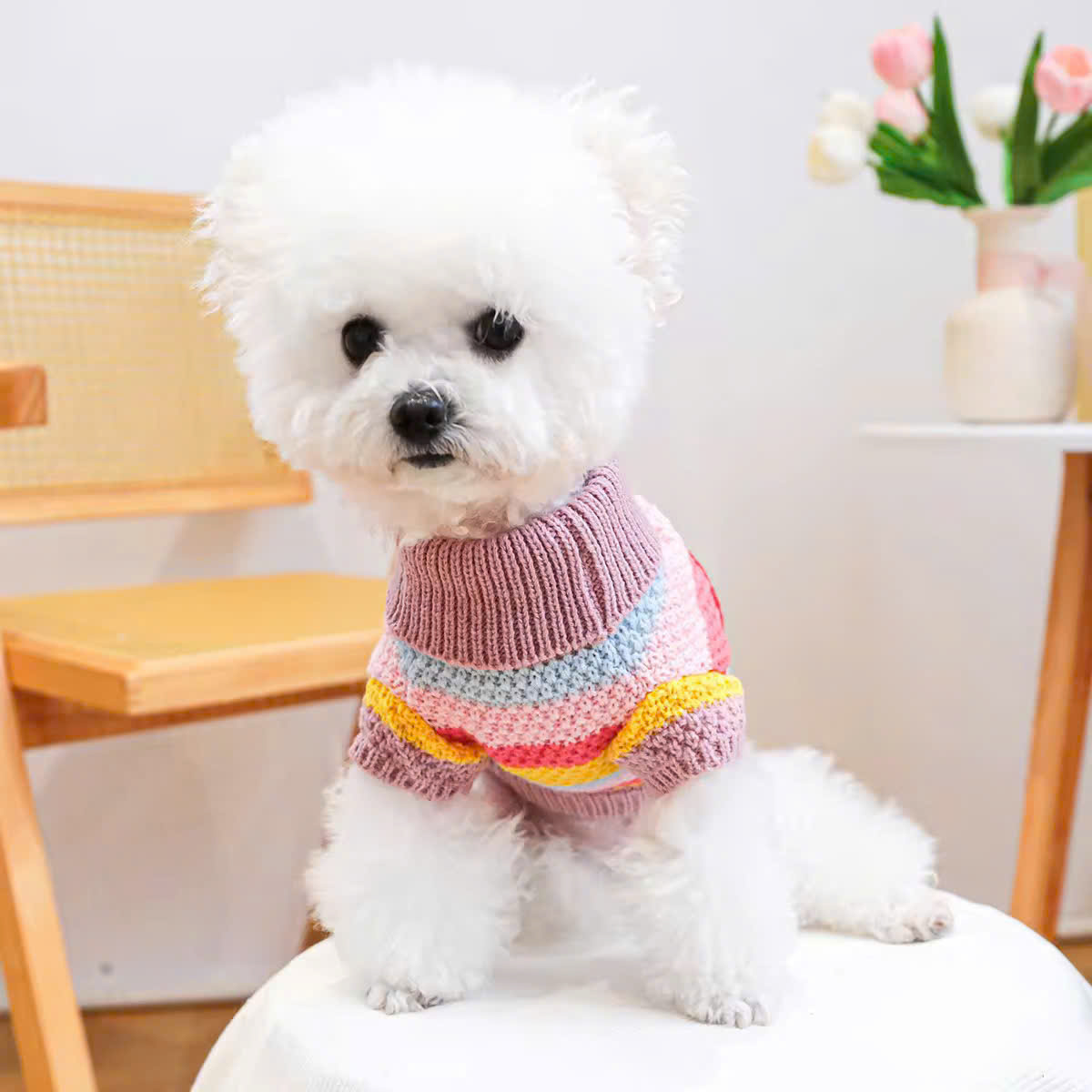 ÁO LEN SIÊU SANG TRỌNG TỪ 0.5-8KG DÀNH CHO THÚ CƯNG CHÓ MÈO