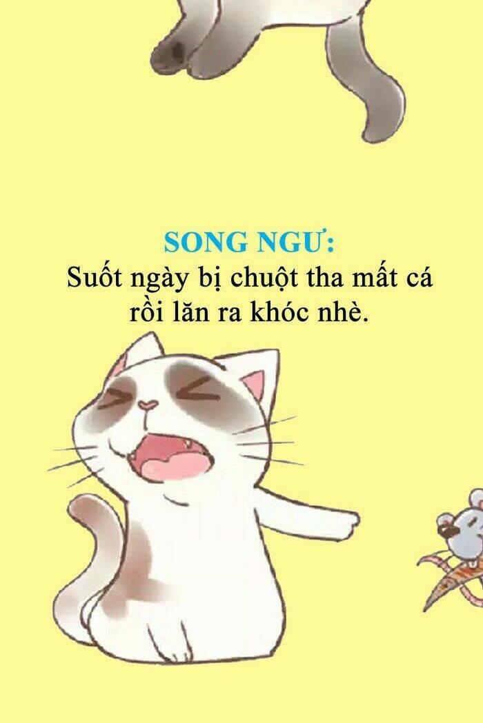 12 cung hoàng đạo vui chapter 36 17