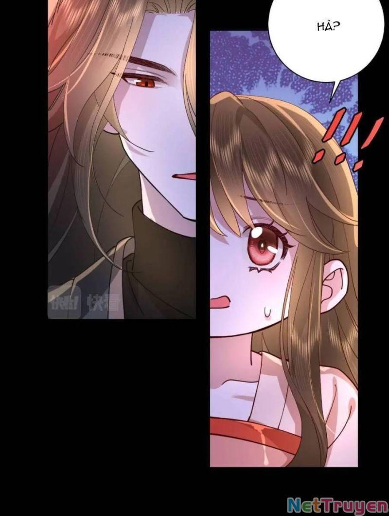phương thức sinh tồn của công chúa pháo hôi chapter 65 23
