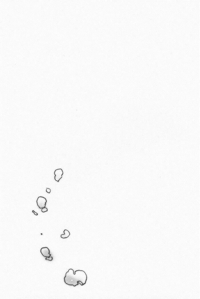 maiden rose chapter 11.2 24