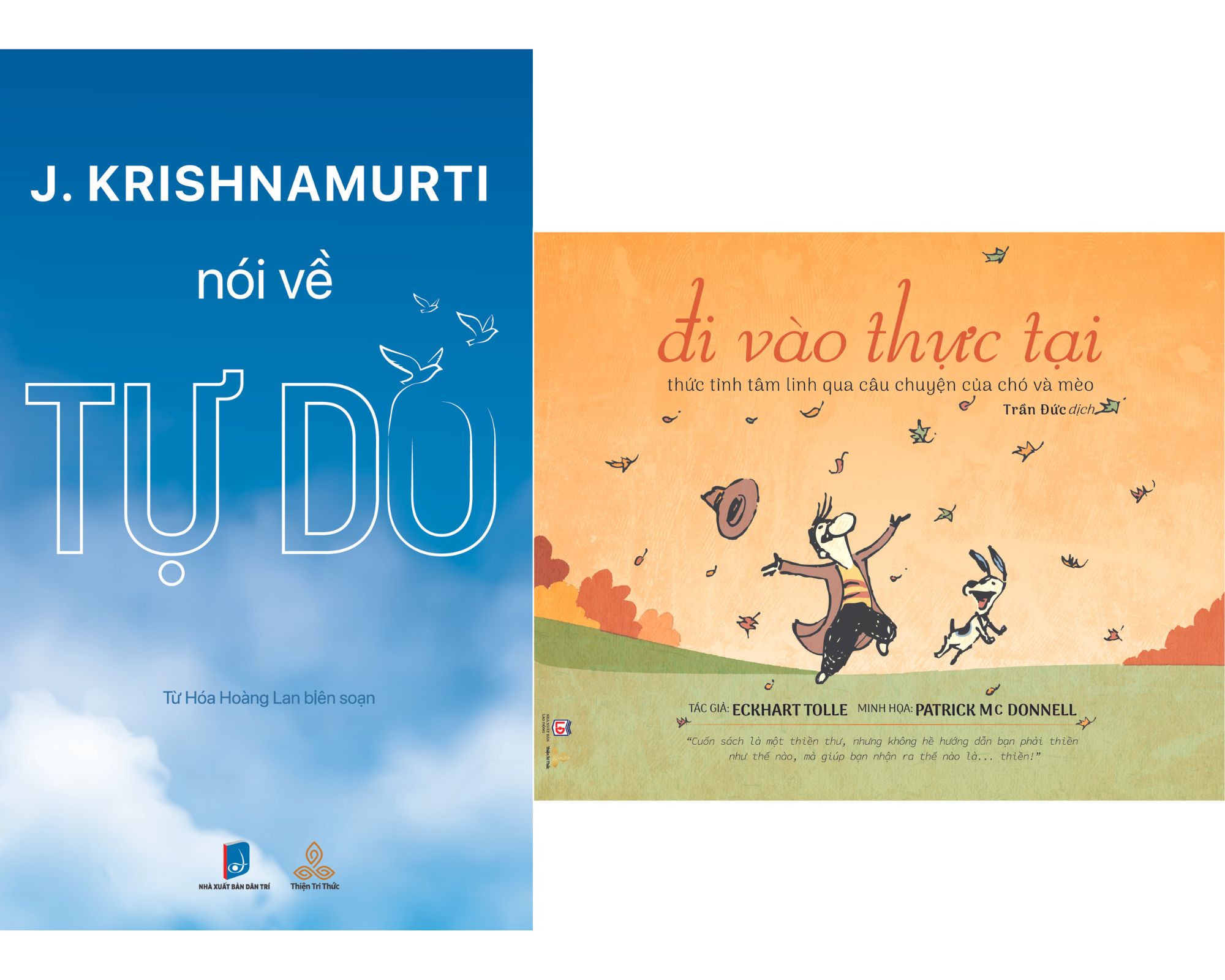 Combo Sách Krishnamurti Nói Về Tự Do và Đi Vào Thực Tại