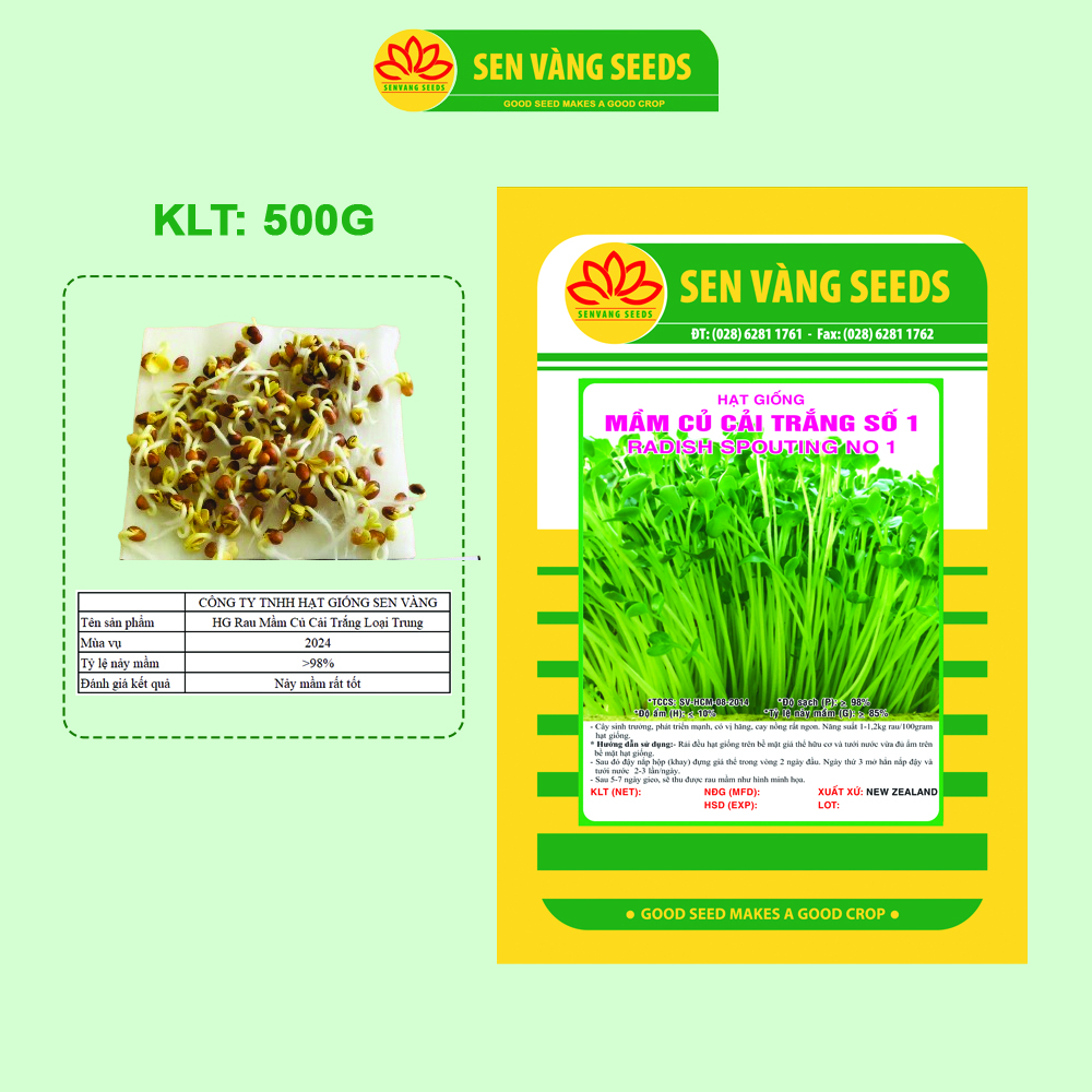 Hạt Giống Rau Mầm Củ Cải Trắng (Size Trung) - Nhập khẩu New Zealand, nảy mầm &gt;95%, siêu năng suất - HẠT GIỐNG SEN VÀNG
