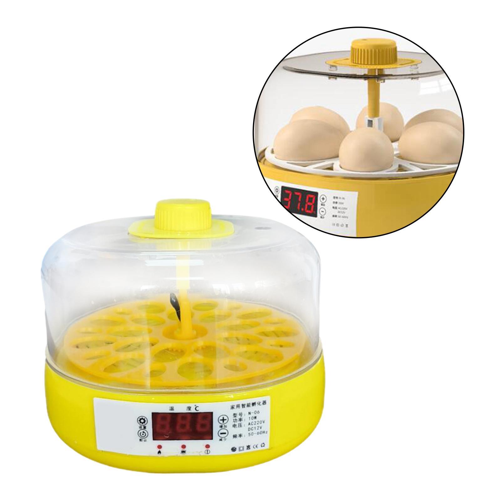 Egg Incubator for Birds Automatic Household Temperature Control Bird Hatcher