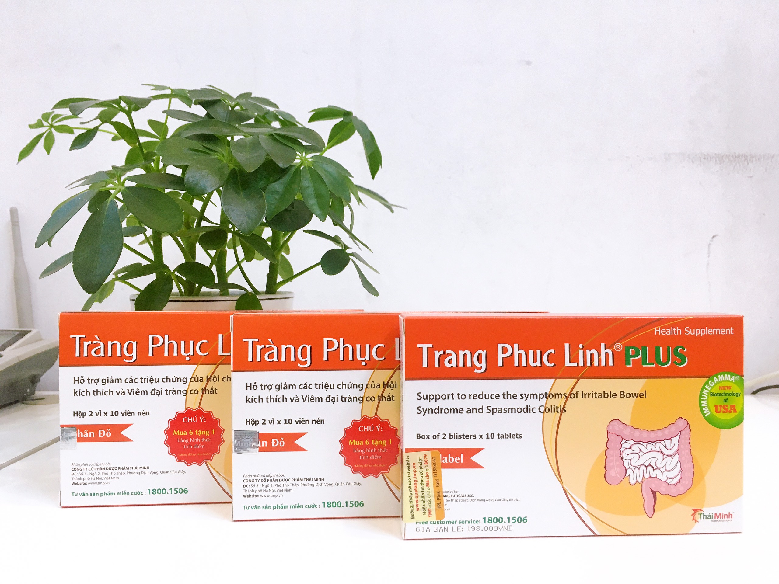 Combo 3 hộp Tràng Phục Linh Plus (nhãn đỏ) 