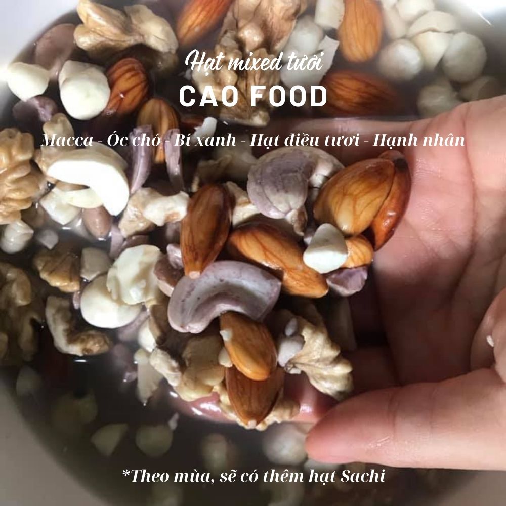 Hạt mixed tươi 5 loại hạt dinh dưỡng cao cấp dùng nấu sữa, cháo, ngũ cốc: macca, óc chó, hạnh nhân, hạt điều, hạt bí xanh