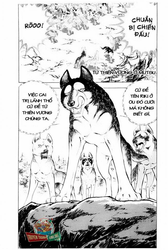 chú chó có nghĩa - ginga nagareboshi gin chapter 29.2 30