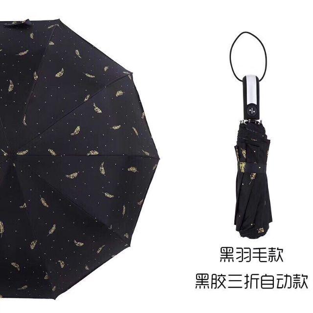 Ô tự động 2 chiều