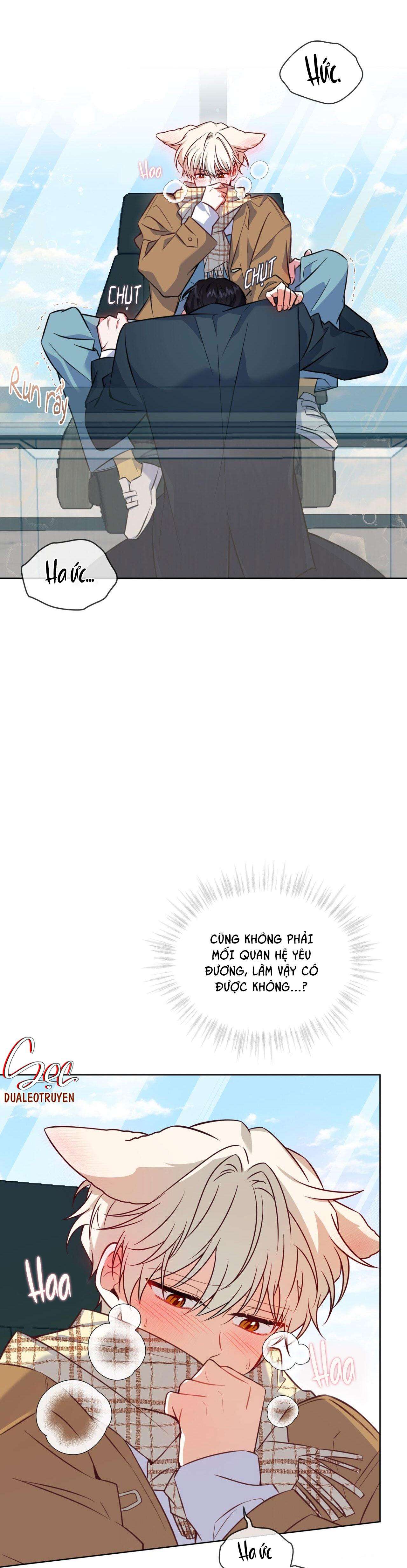 nước uống tình yêu của cáo plin chapter 0.1 31