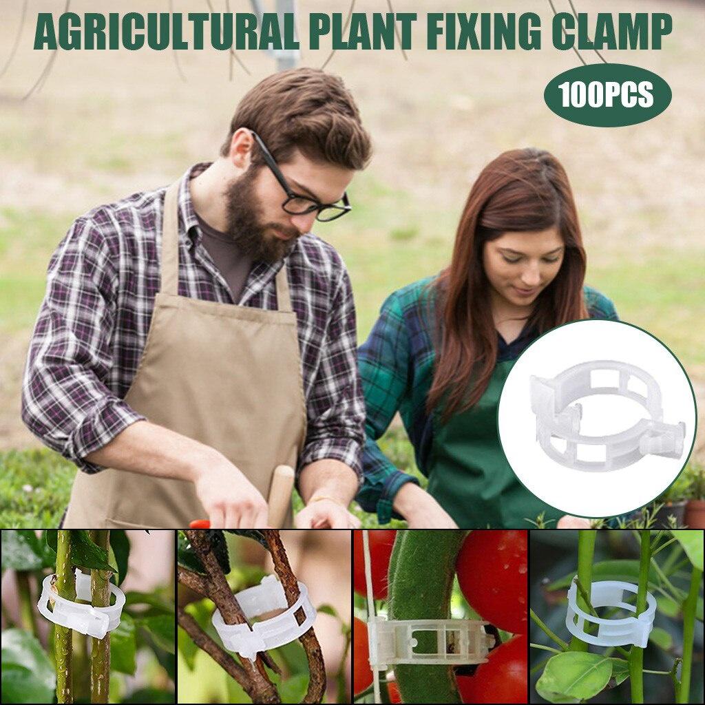 Artificial Plant Clip Gardening Clip Vine Fixing Clip Plastic Grafting Clip Plant Clip Reusable 50pcs/100PCS