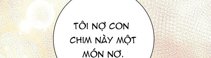 công chúa của loài chim chapter 51.1 321