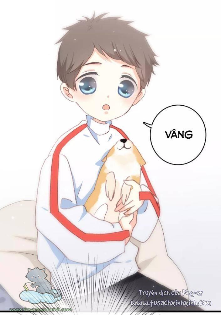 con tim rung động 2 chapter 59.2 19