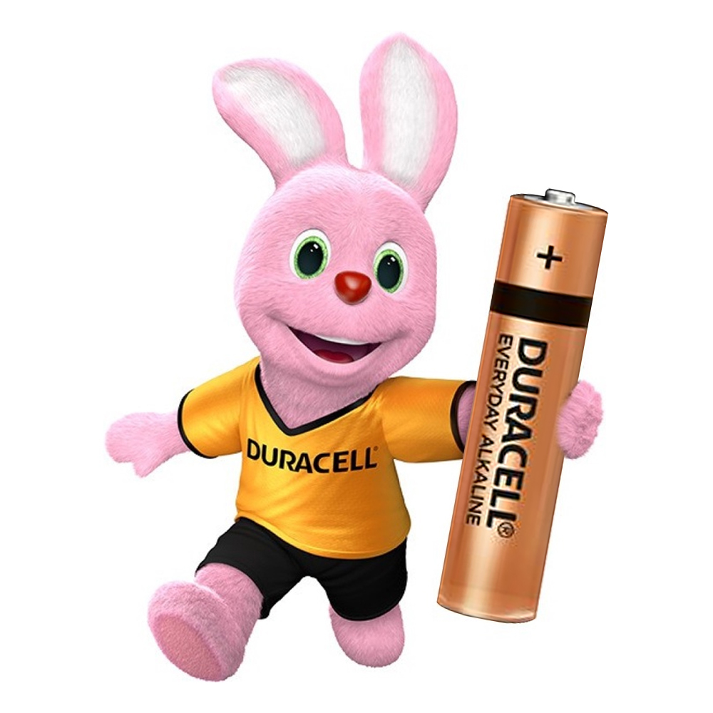 Vỉ 2 VPin AA , Pin AAA DURACELL 1,5V Siêu Bền - Hàng chính hãng