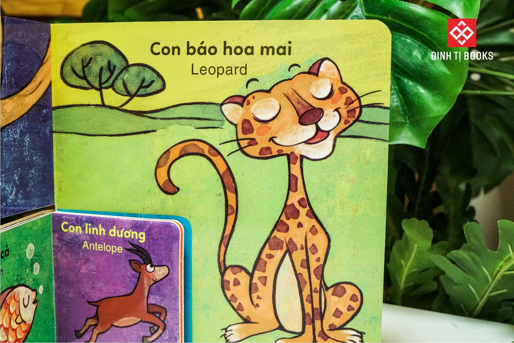 Sách - bộ sách to ôm sách nhỏ dành cho trẻ 3-6 tuổi - Đinh Tị Books
