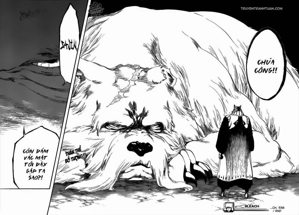 thần chết ichigo chapter 538 16