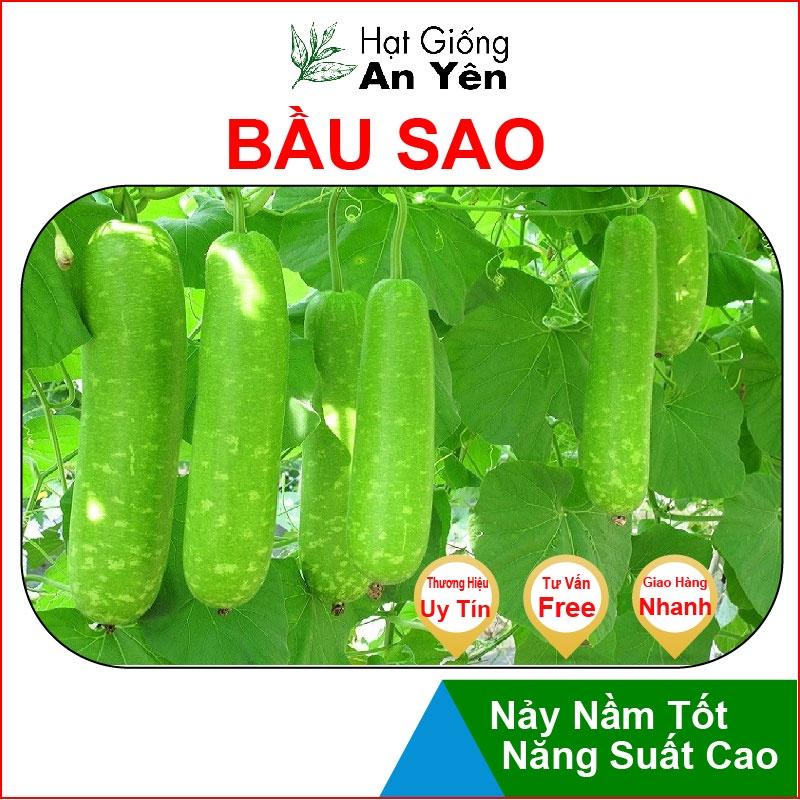 Hạt giống Bầu Sao trái dài thu hoạch sớm, dễ trồng, nảy mầm cao, sinh trưởng khoẻ