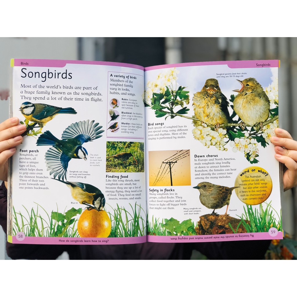 Sách Bách khoa toàn thư - First Animal Encyclopedia - Tổng Hợp Kiến Thức Về Thế Giới Động Vật, Những Điều Mà Trẻ Em Luôn Muốn Biết - Á Châu Books, Bìa Cứng, In Màu