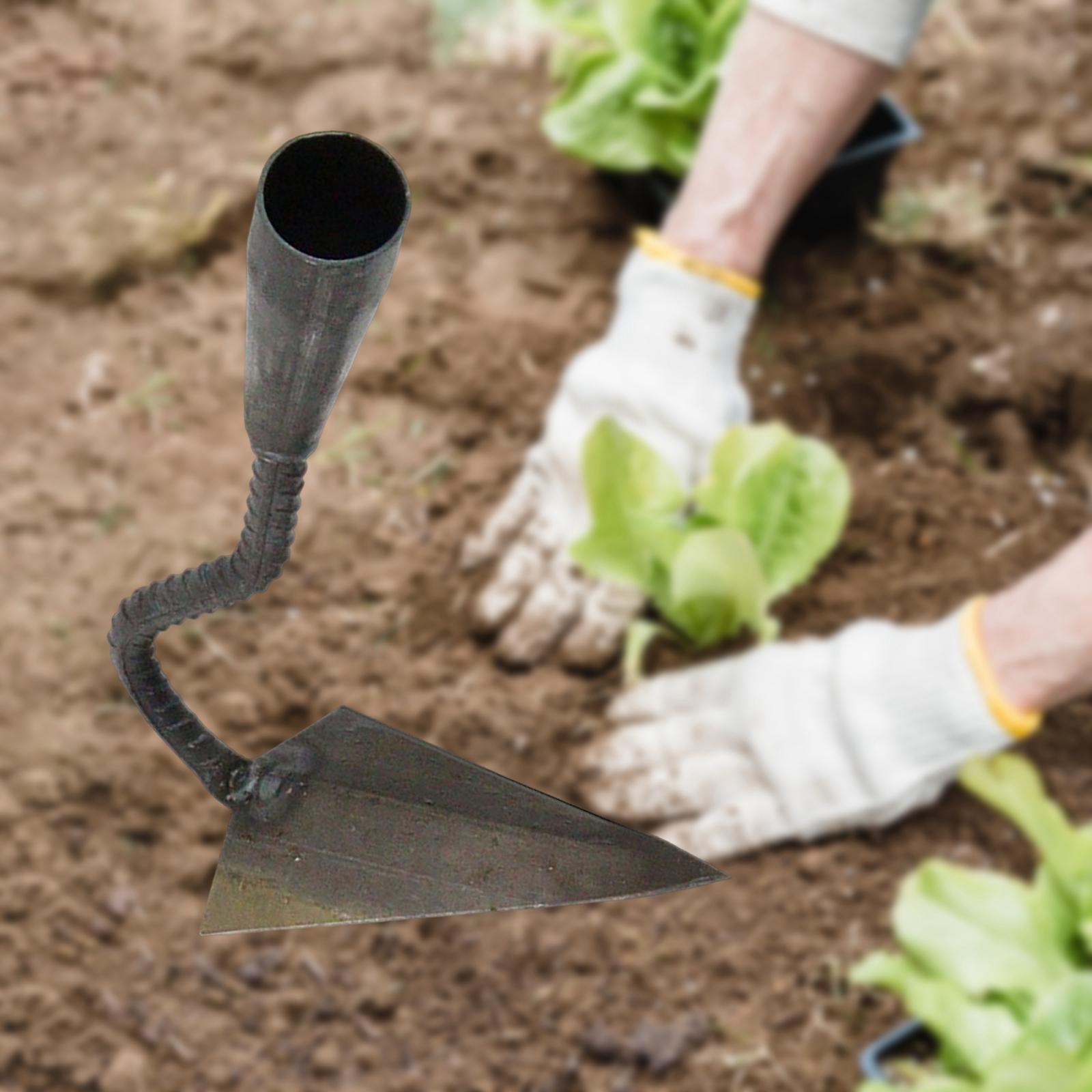 Garden Swoe Hoe Forging Process for Backyard Agriculture Soil Loosening