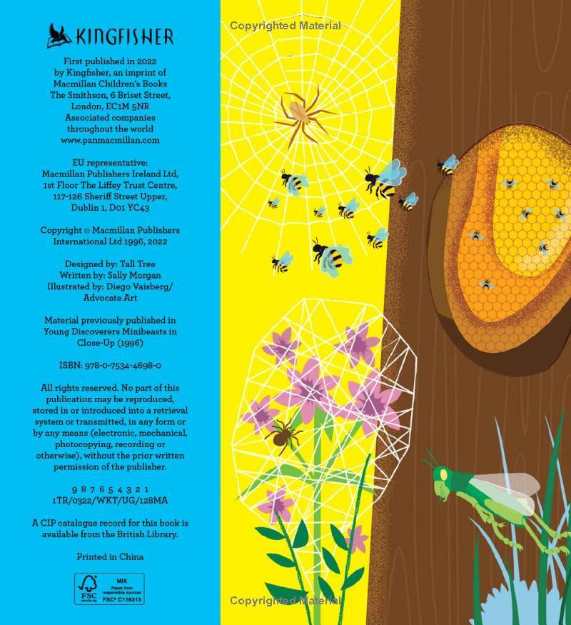 Sách ngoại văn: Discover It Yourself - Minibeasts