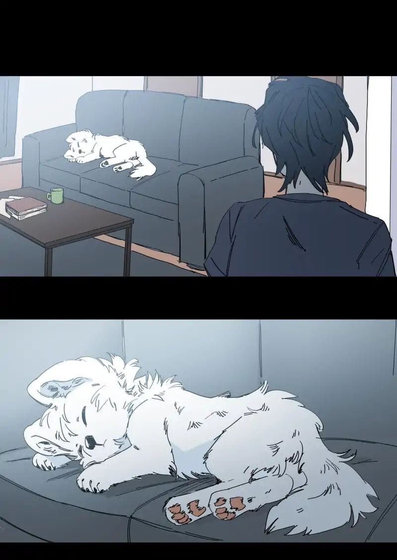 lumine - cội nguồn ánh sáng chapter 65 17