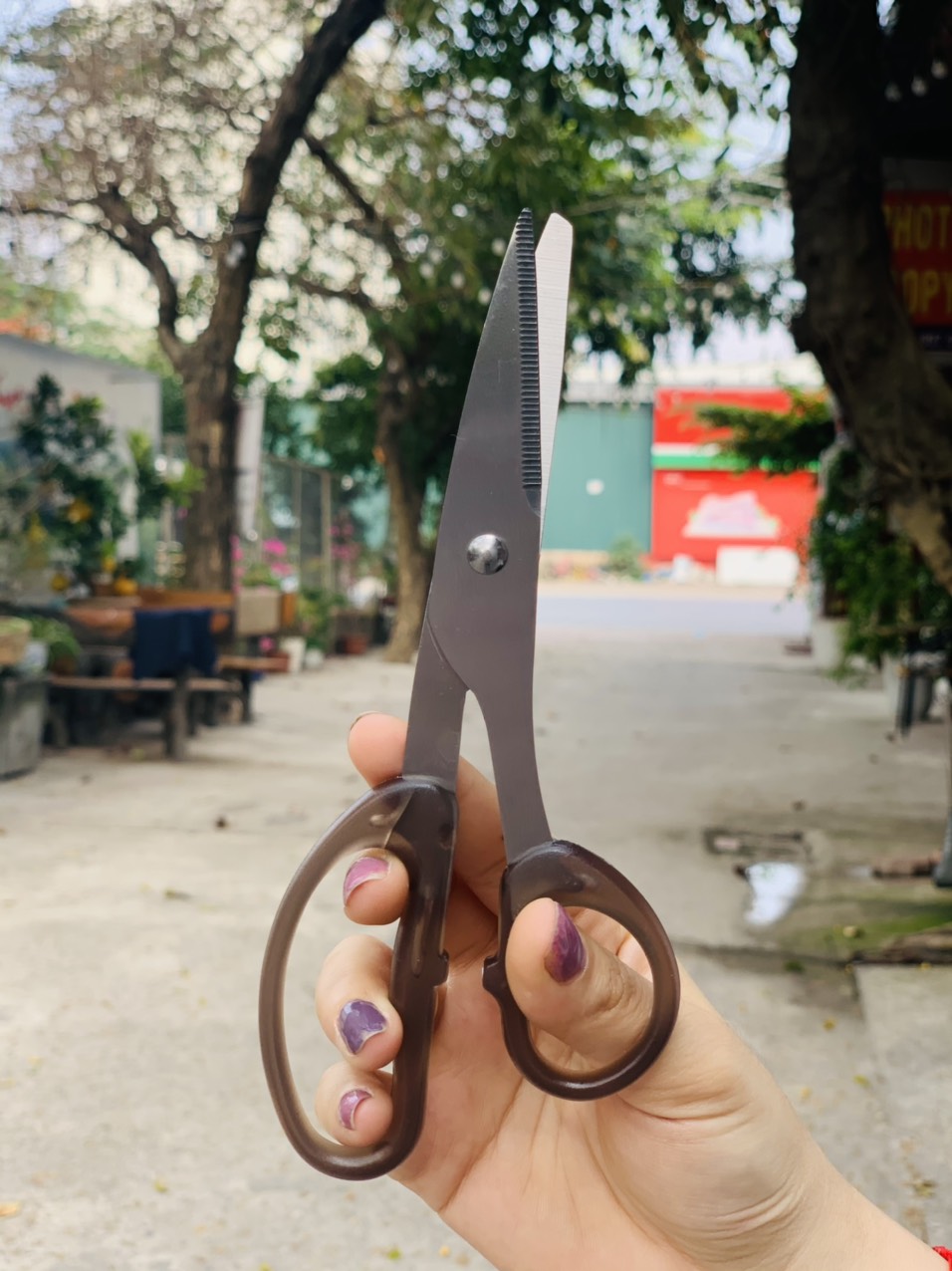 Combo kéo văn phòng Echo Metal 18cm + bấm móng tay cao cấp size M - nội địa Nhật Bản